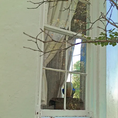 Coolemee Plantation 11