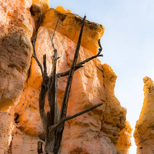 BryceNationalPark 20