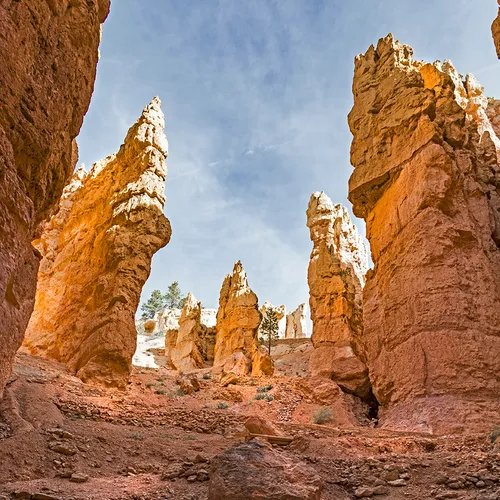 BryceNationalPark 24