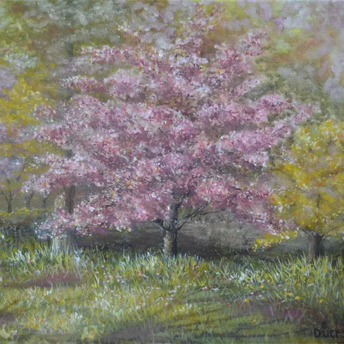 Sloan Park In the Spring