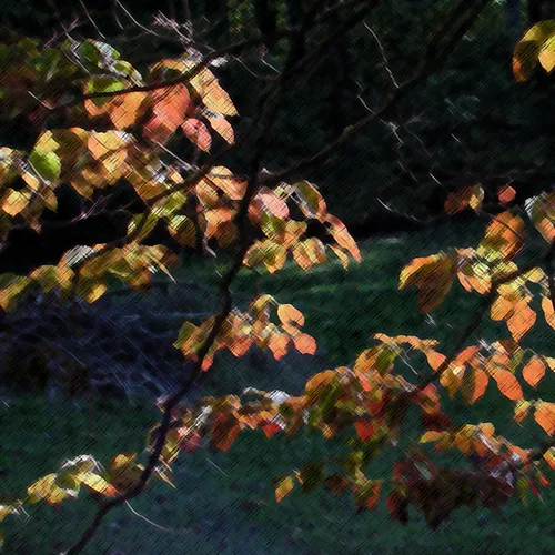 Leaves Colored Pencil