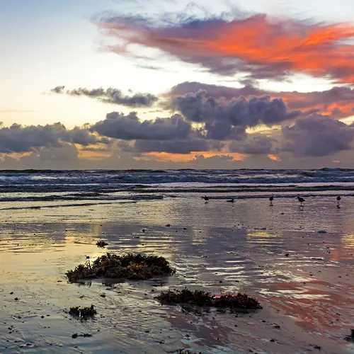 JaxBeachsunrise 2017 5