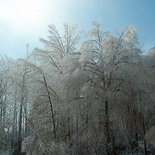 Ice Storm 1