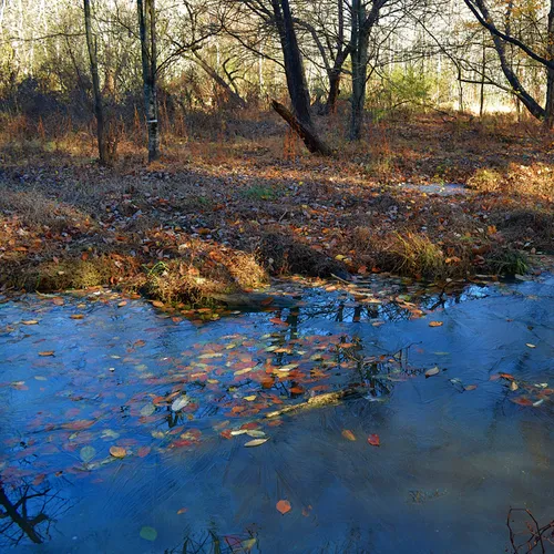 Lake Corriher 2014-8