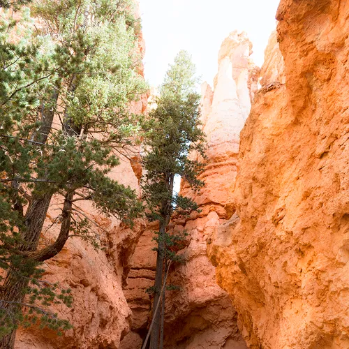 BryceNationalPark 22