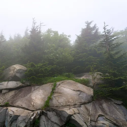 Clingmansdome 6