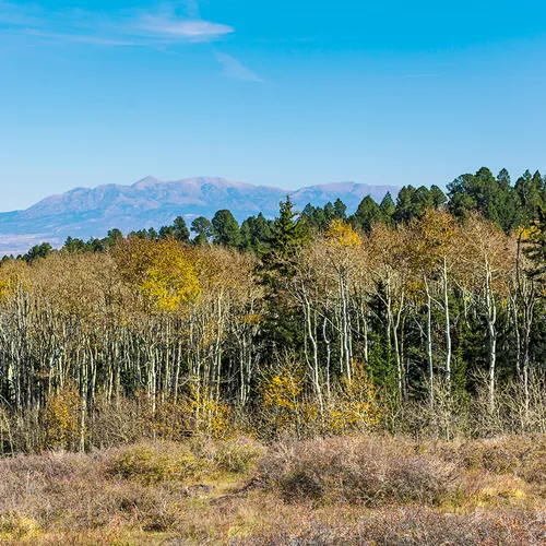 Dixienationalforest 3