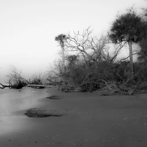 Edistosunrise 46 B&W