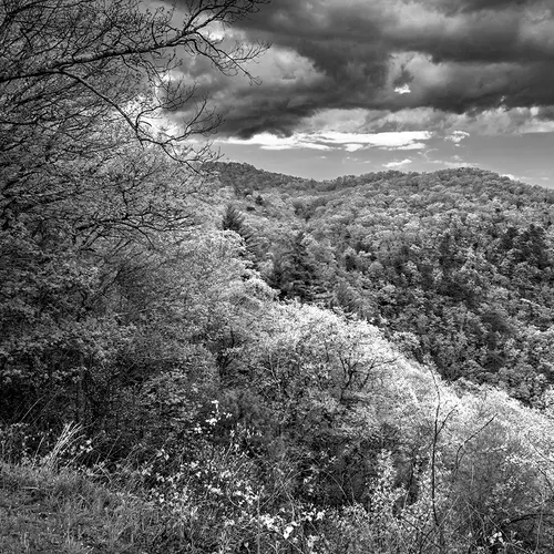 Blue Ridge 3-B&W