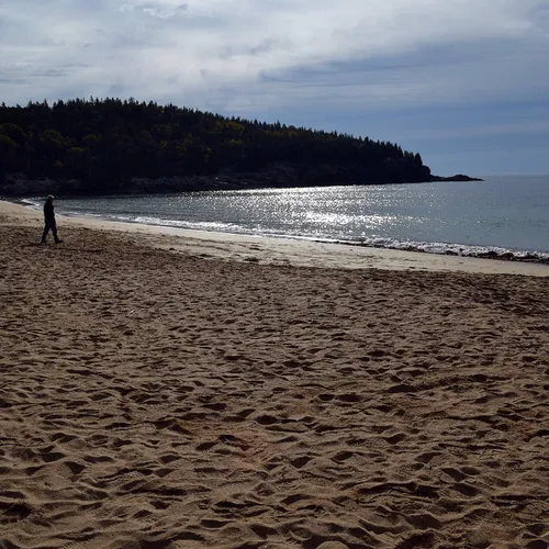 Acadia Shore Fall 1-10