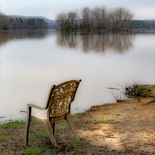 Wildlifeaccessmar 2019 Chair 2