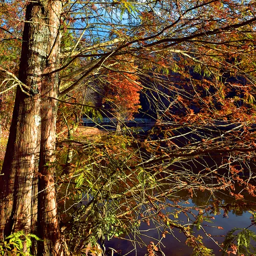 autumn Dan Nicholas 6