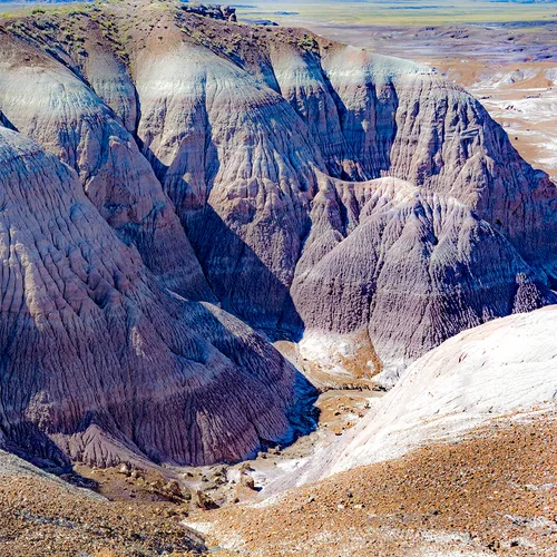 The Petrified Forest 2
