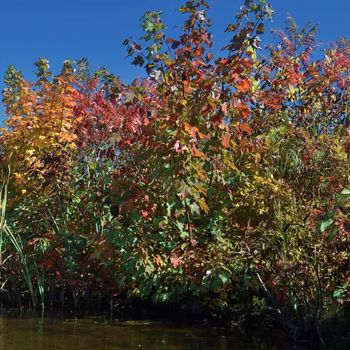 New Hampshire Mtns 4