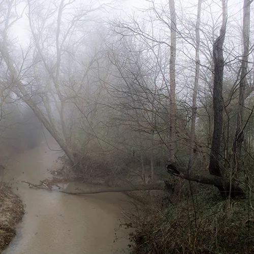 Fanniesloan 2015 Fog