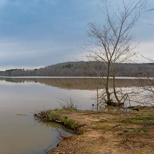 Wildlifeaccessmar 2019