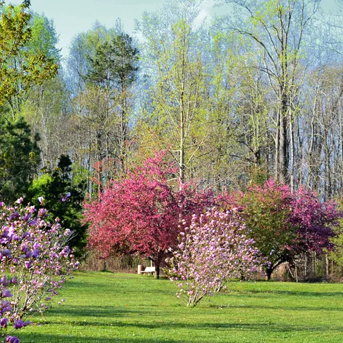 Sloan Park in the spring 7