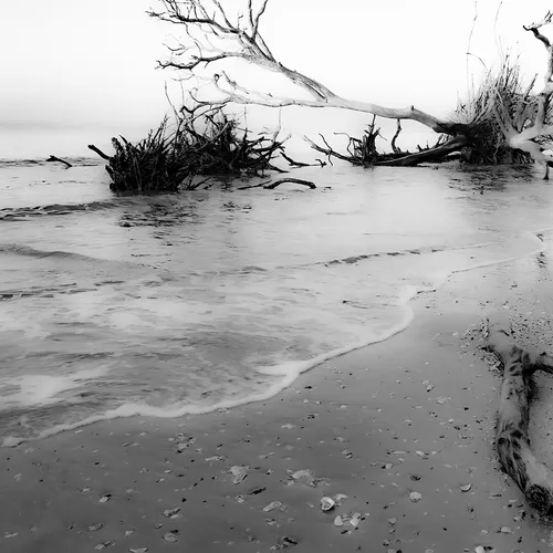 Edistosunrise 60 B&W