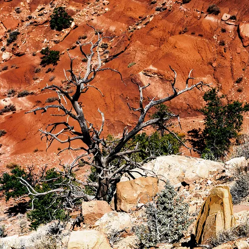 CanyonlandsNationalPark 18