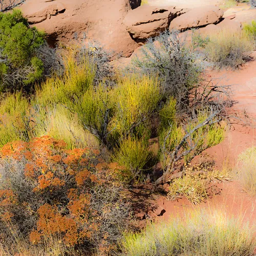 CanyonlandsNationalPark 30