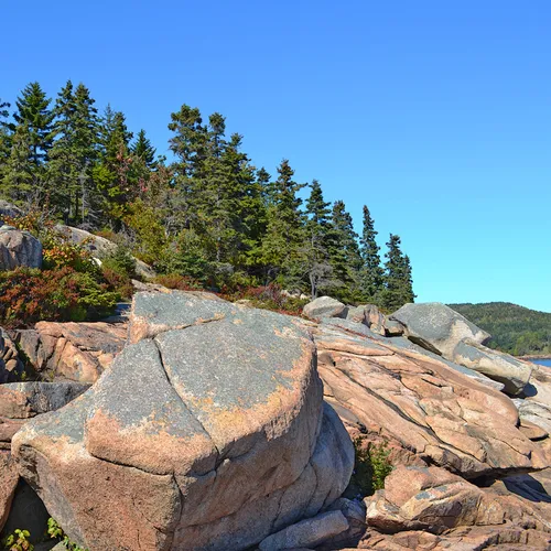 Acadia Shore Fall 1-1