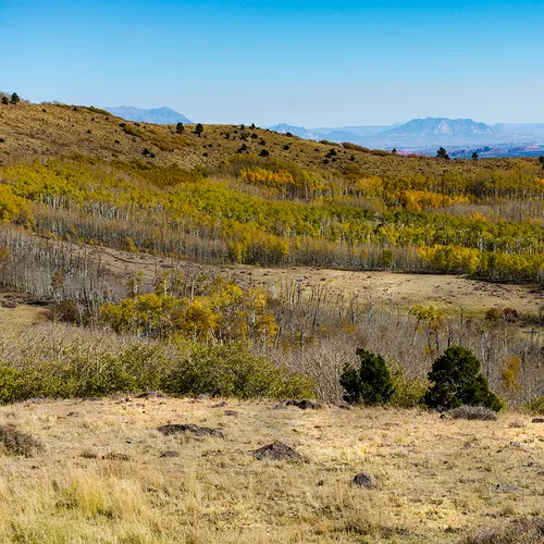 Dixienationalforest 4