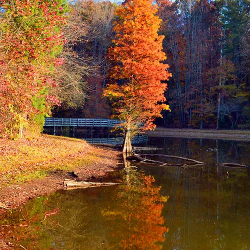 autumn Dan Nicholas 2