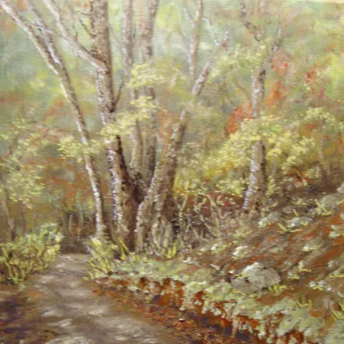 Joyces Downhill Road