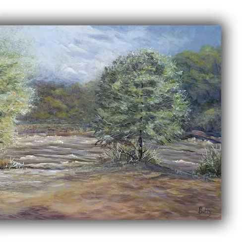 Bullhole at Riverwalk