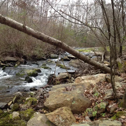 Uwharrie Stream 2