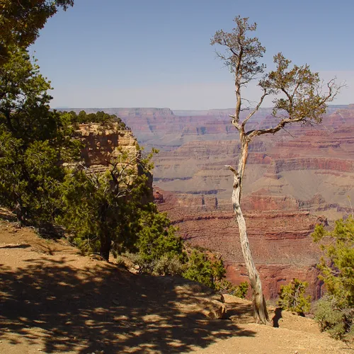 Grand Canyon 1