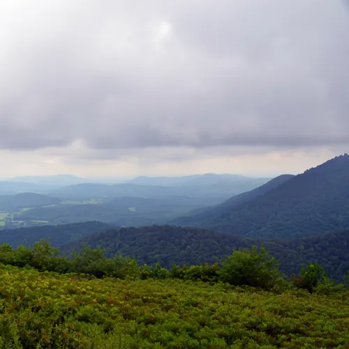 Blueridge Parkway 4