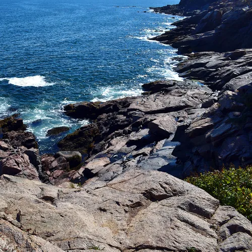 Acadia Shore Fall 1-3