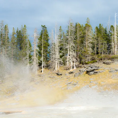 Yellowstone 17