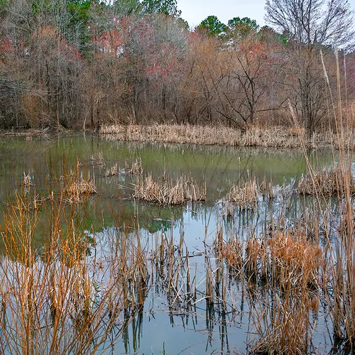 Wildlifeaccessmar 2019 4