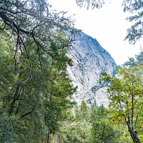 Yosemite 65