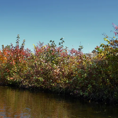 New Hampshire Mtns 5
