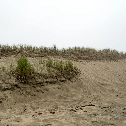 PortAuxBasqueReturn 9