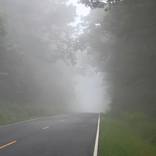 Road and Fog