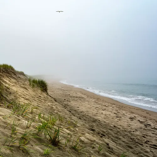 PortAuxBasqueReturn 5