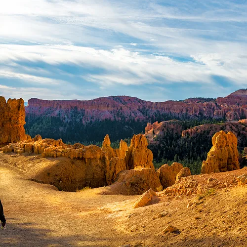 BryceNationalPark 12