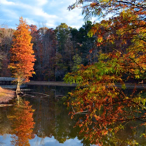 autumn Dan Nicholas 5