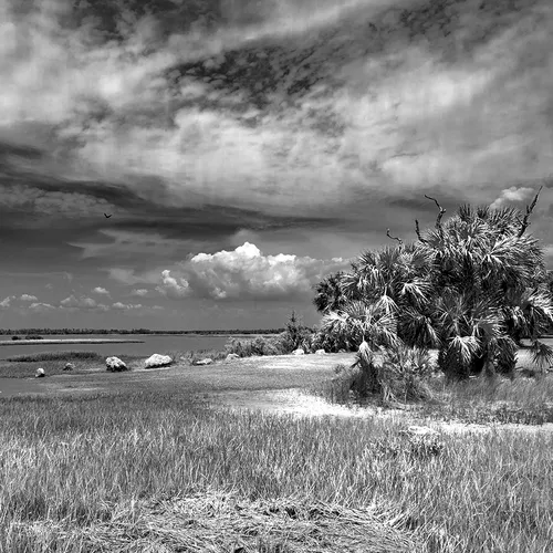 Cedarkey 11 B&W