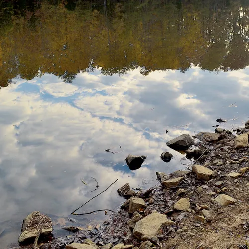 reflections at Dan Nickolas