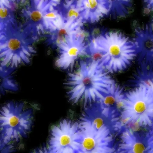 Purple Chrysanthamums Underpaint