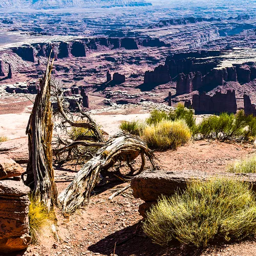 CanyonlandsNationalPark 20