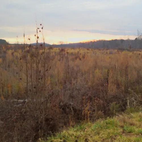 Uwharrie sunrise 1