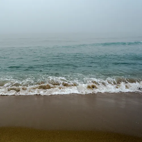 PortAuxBasqueReturn 8