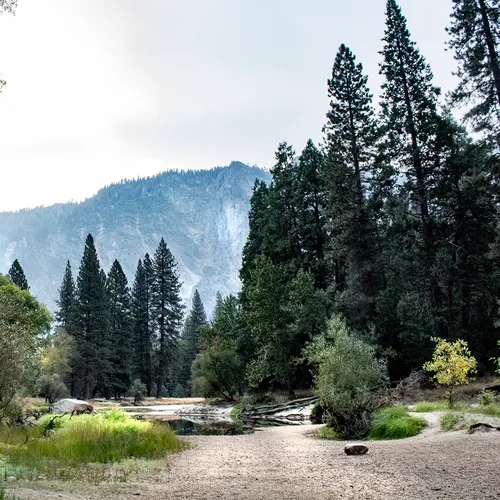 Yosemite 43