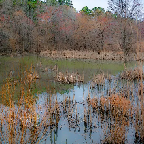 Wildlifeaccessmar 2019 Blur 4